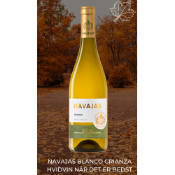 Navajas Blanco Crianza 2021 Stor prisvindende hvidvin